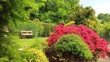 h�bscher Garten 