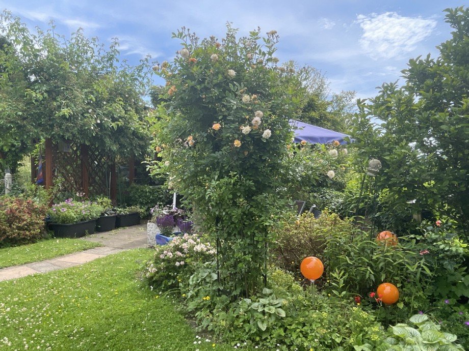Blumenpracht Einfamilienhaus Jossgrund-Lettgenbrunn