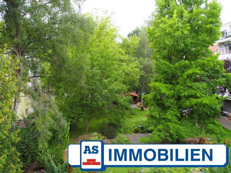 Ausblick Richtung Park Etagenwohnung Bad Orb