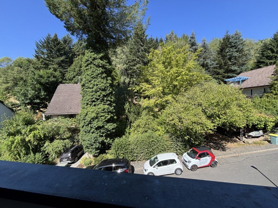 ...Blick ins Gr�ne Etagenwohnung Bad Orb