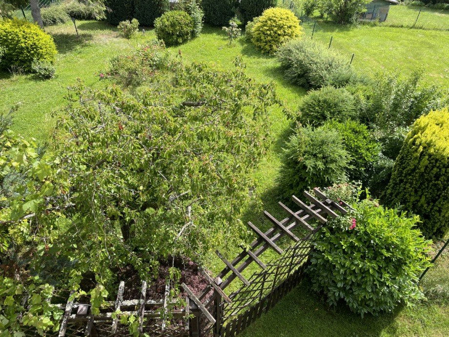 Garten der Gemeinschaft Etagenwohnung Bad Orb